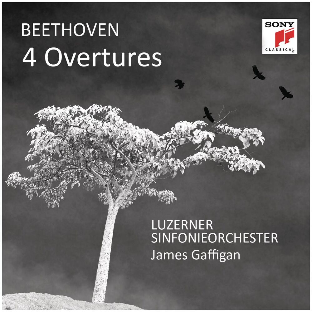 Picture of Beethoven: 4 Overtures
