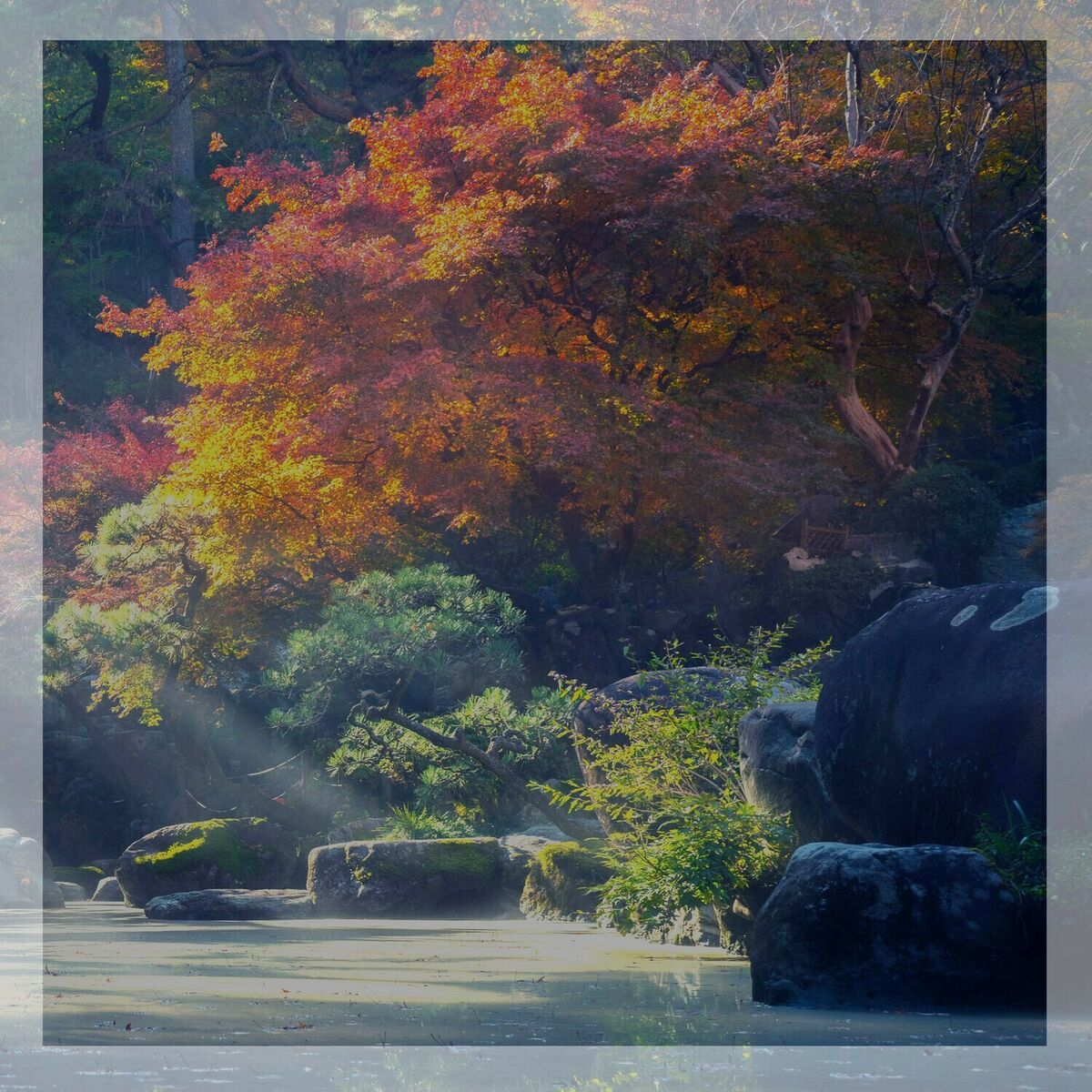 Album cover of Floating in Peace