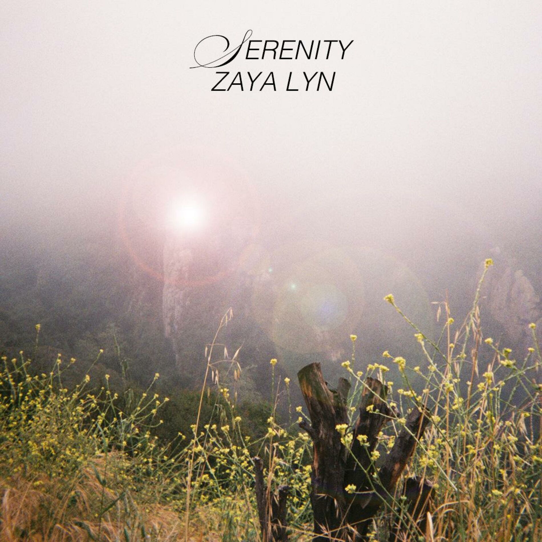 Album cover of Serenity