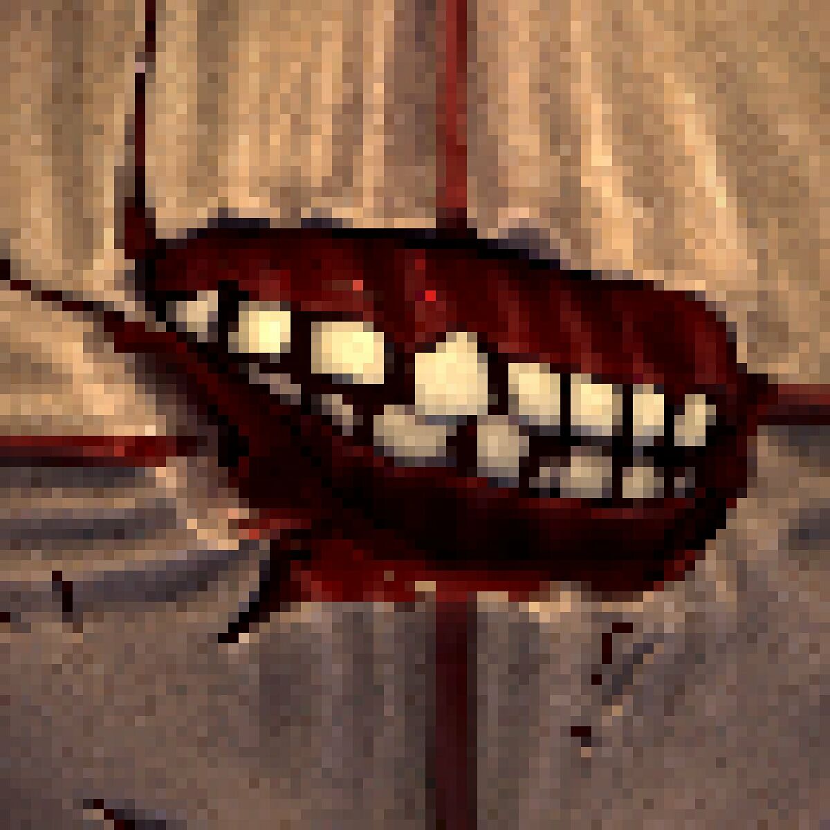 Album cover of Order