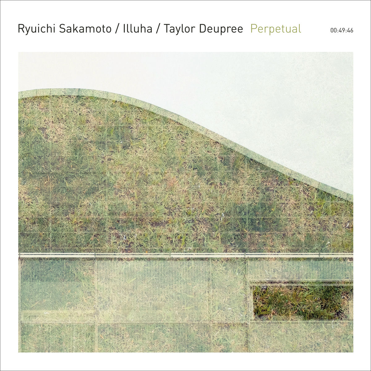 Album cover of Perpetual