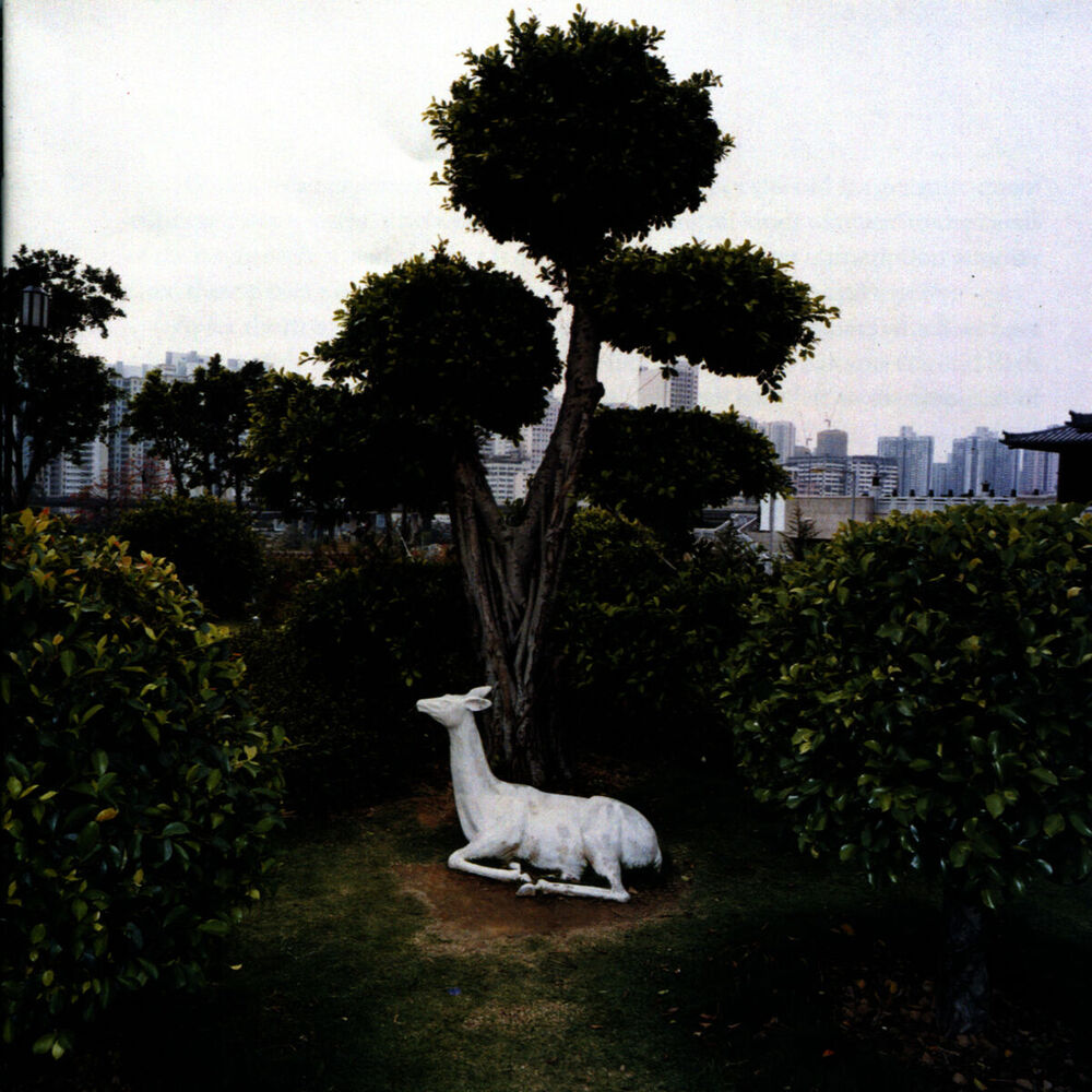 Picture of Giants : music for lute and harp