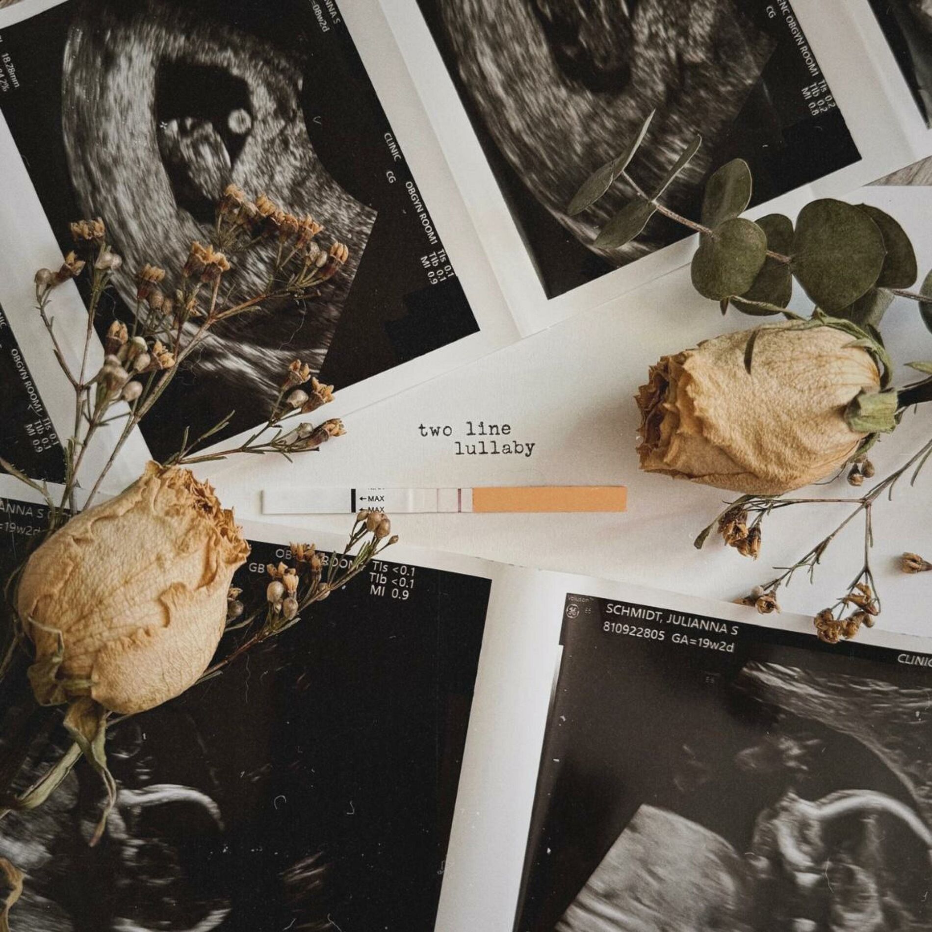 Album cover of Two Line Lullaby