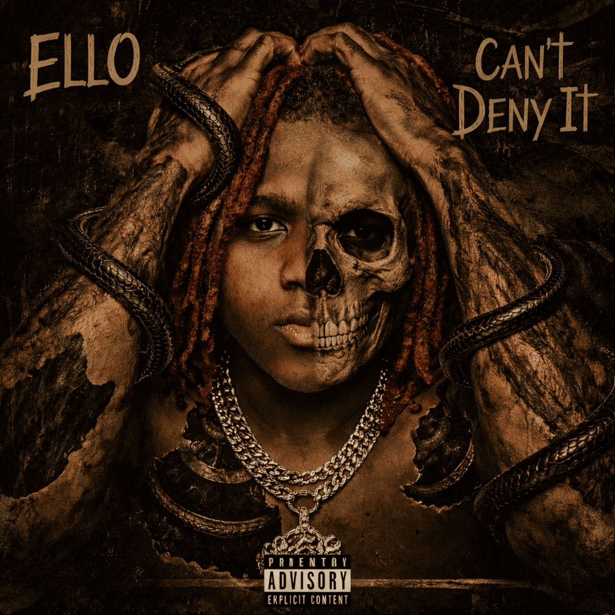 Album cover of Cant Deny It