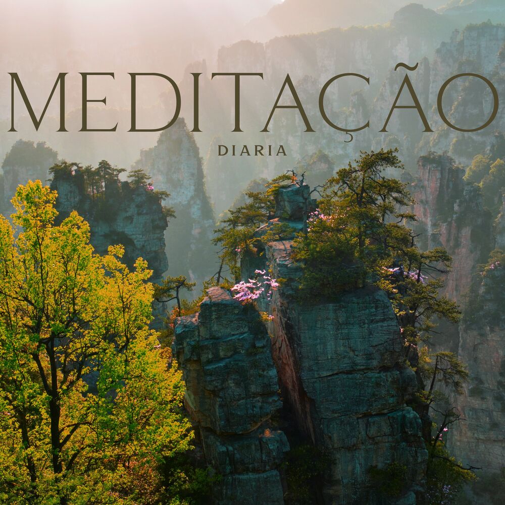 Picture of Meditação Diaria: Música Chinesa para Técnicas de Relaxamento