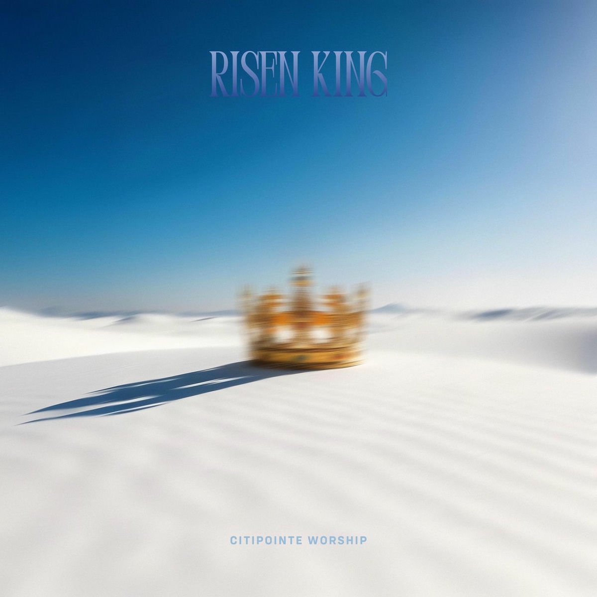 Album cover of Risen King (Live)