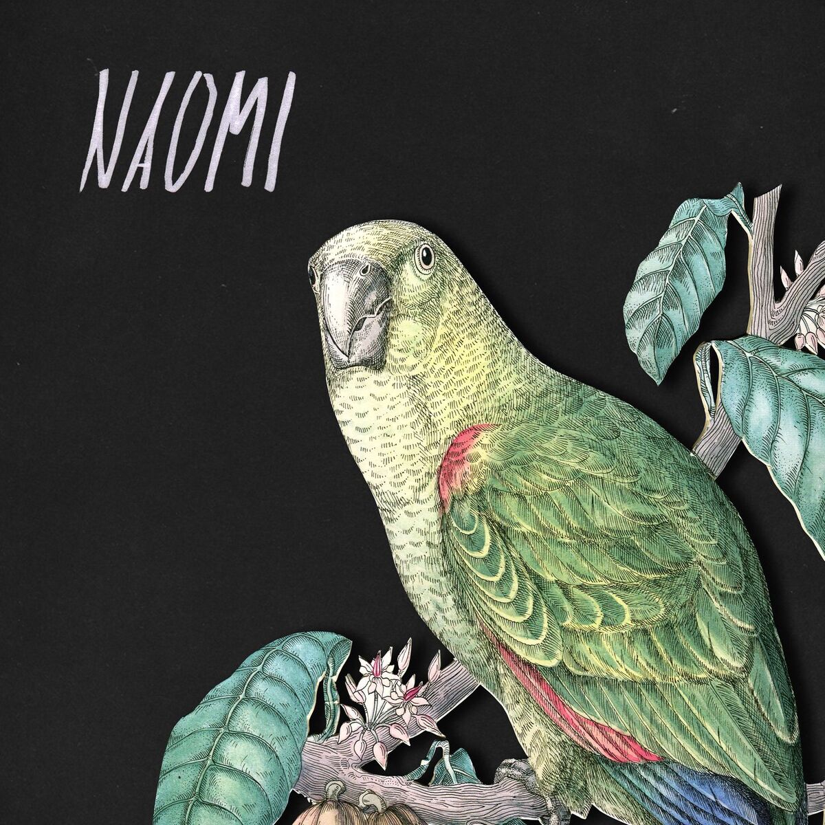 Album cover of Naomi