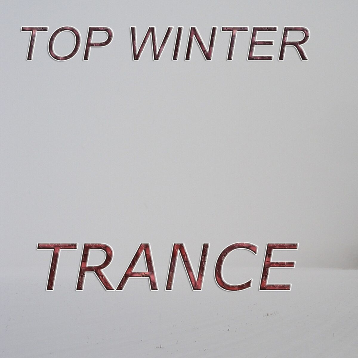 Album cover of Top Winter Trance