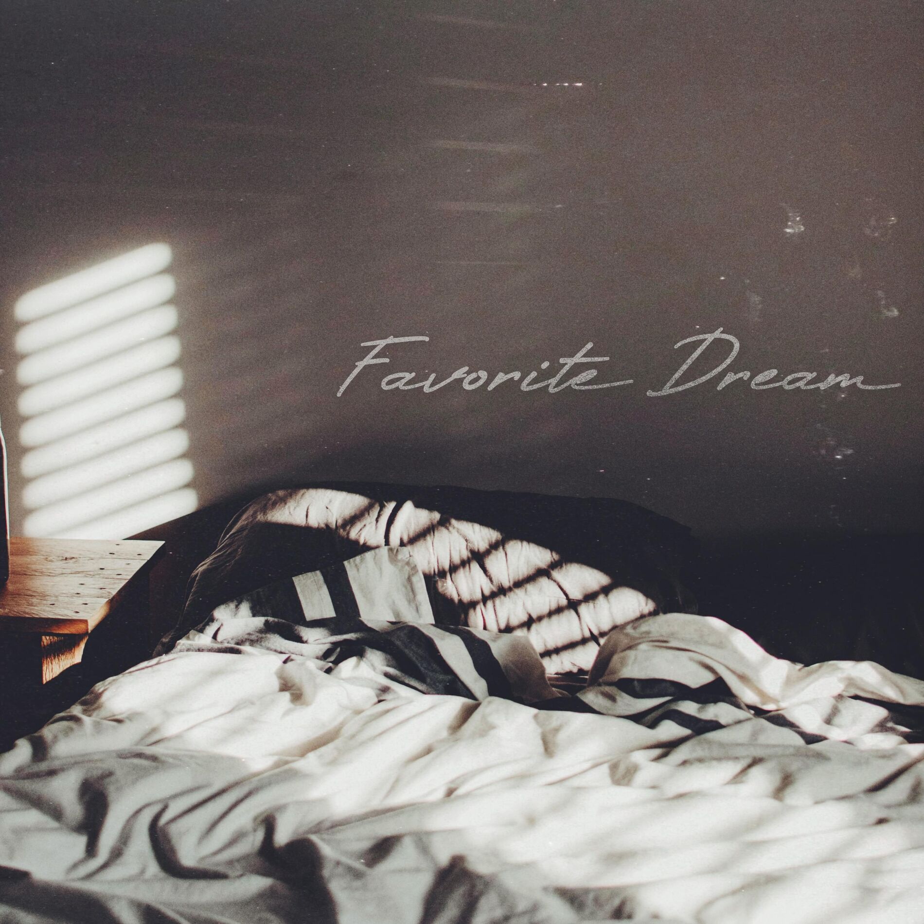 Album cover of Favorite Dream