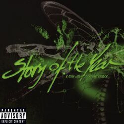 Cover of In the Wake of Determination