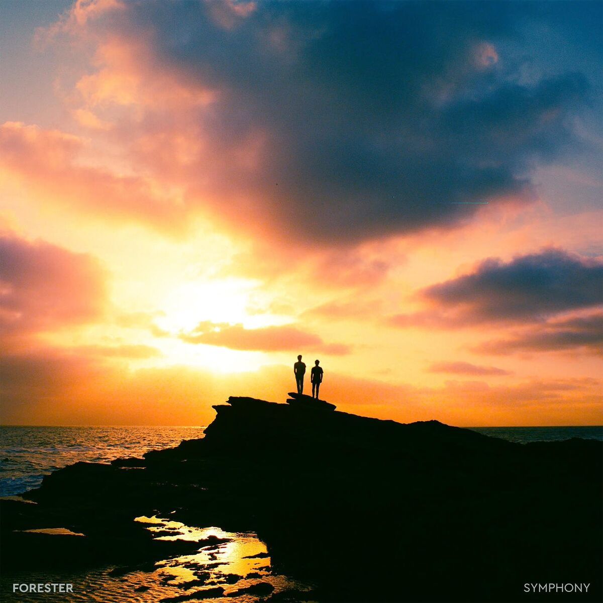 Album cover of Symphony