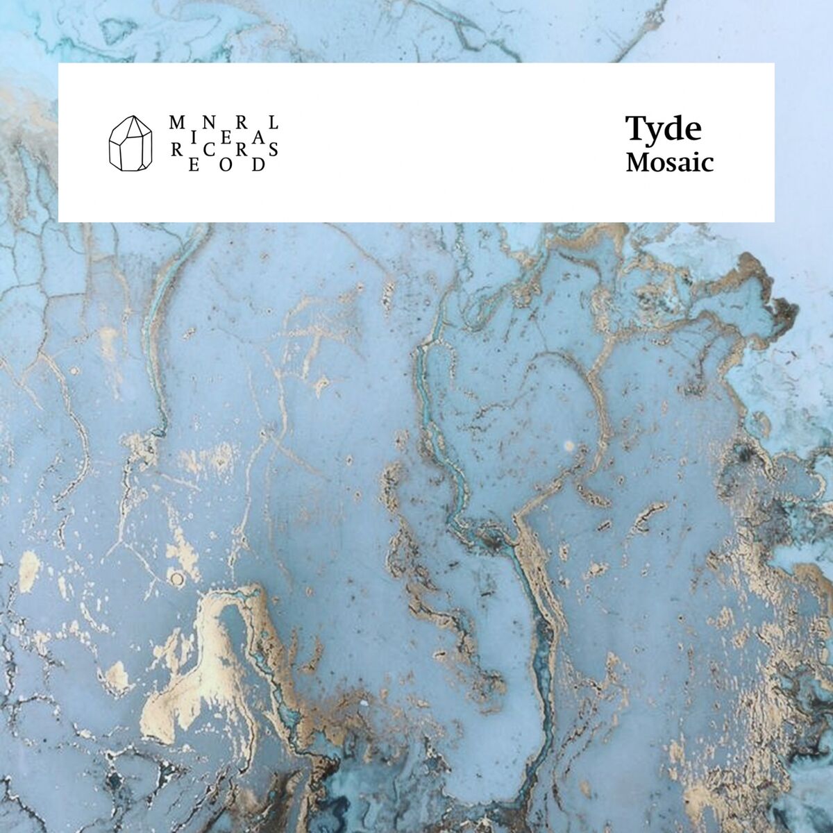 Album cover of Mosaic