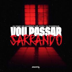 Cover of Vou Passar Sarrando