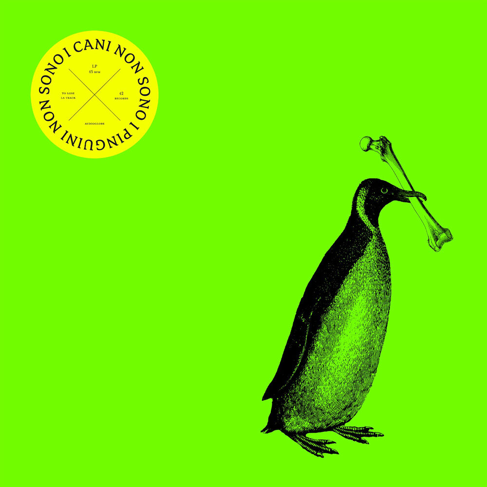 Picture of I cani non sono i pinguini
