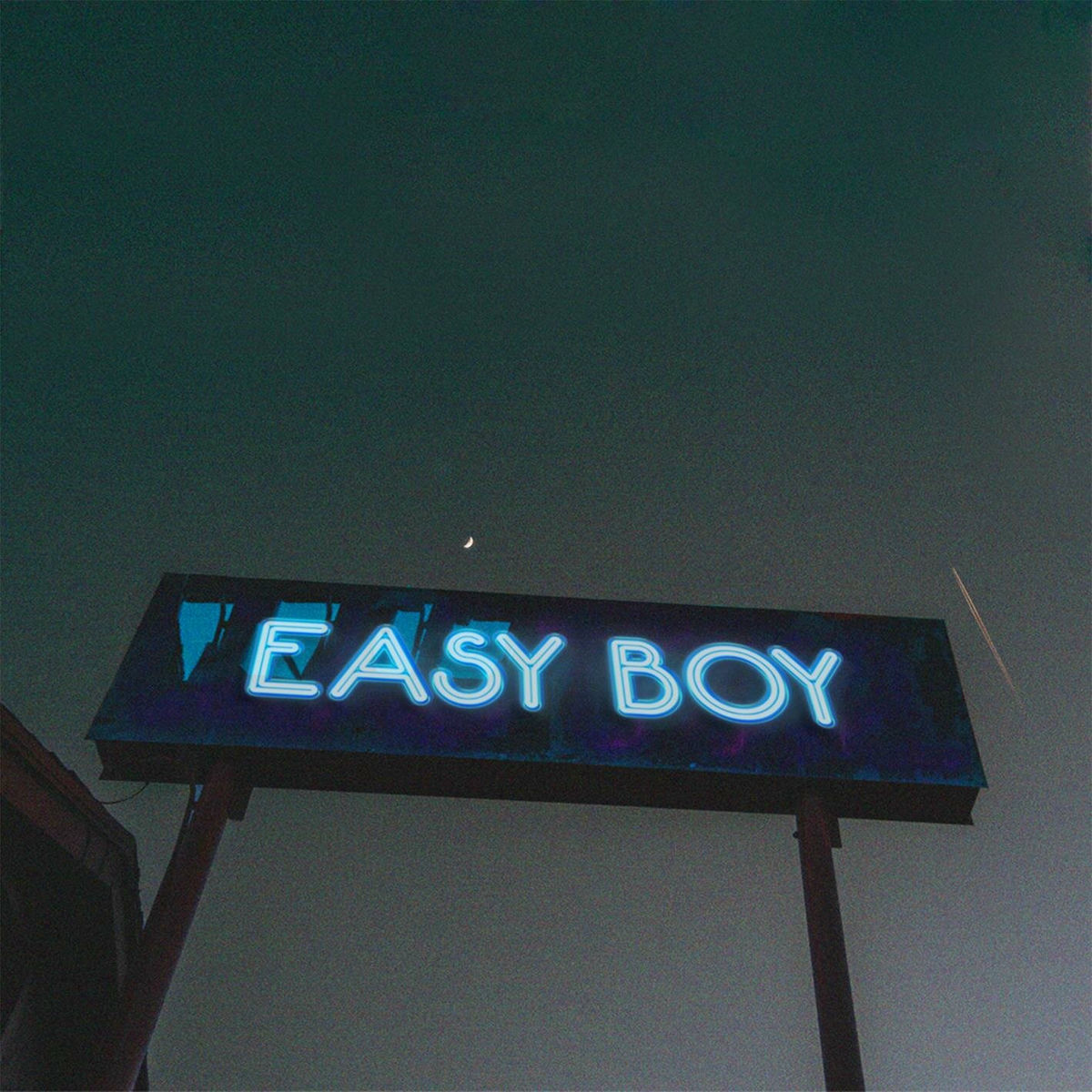 Album cover of EASY BOY