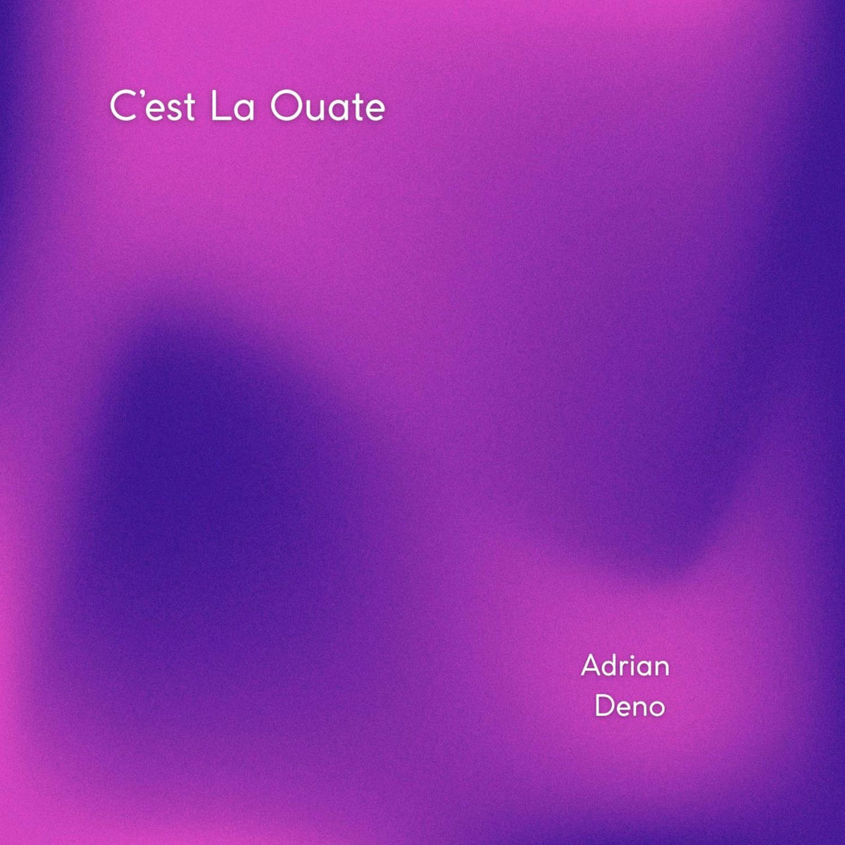 Album cover of C'est La Ouate