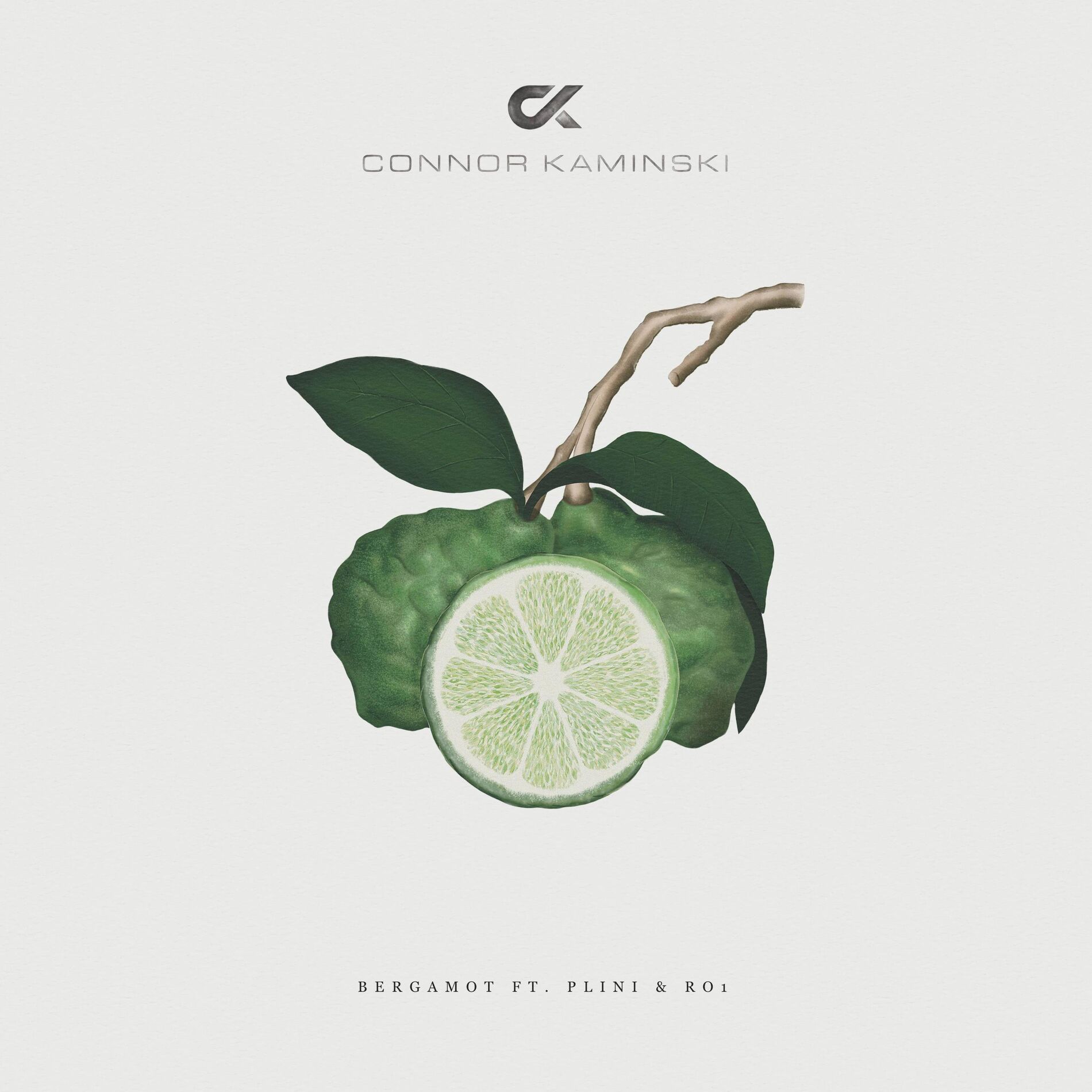 Album cover of Bergamot (feat. Plini & RO1)