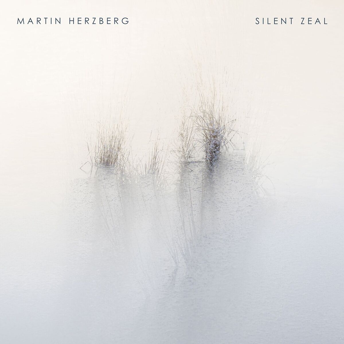 Album cover of Silent Zeal