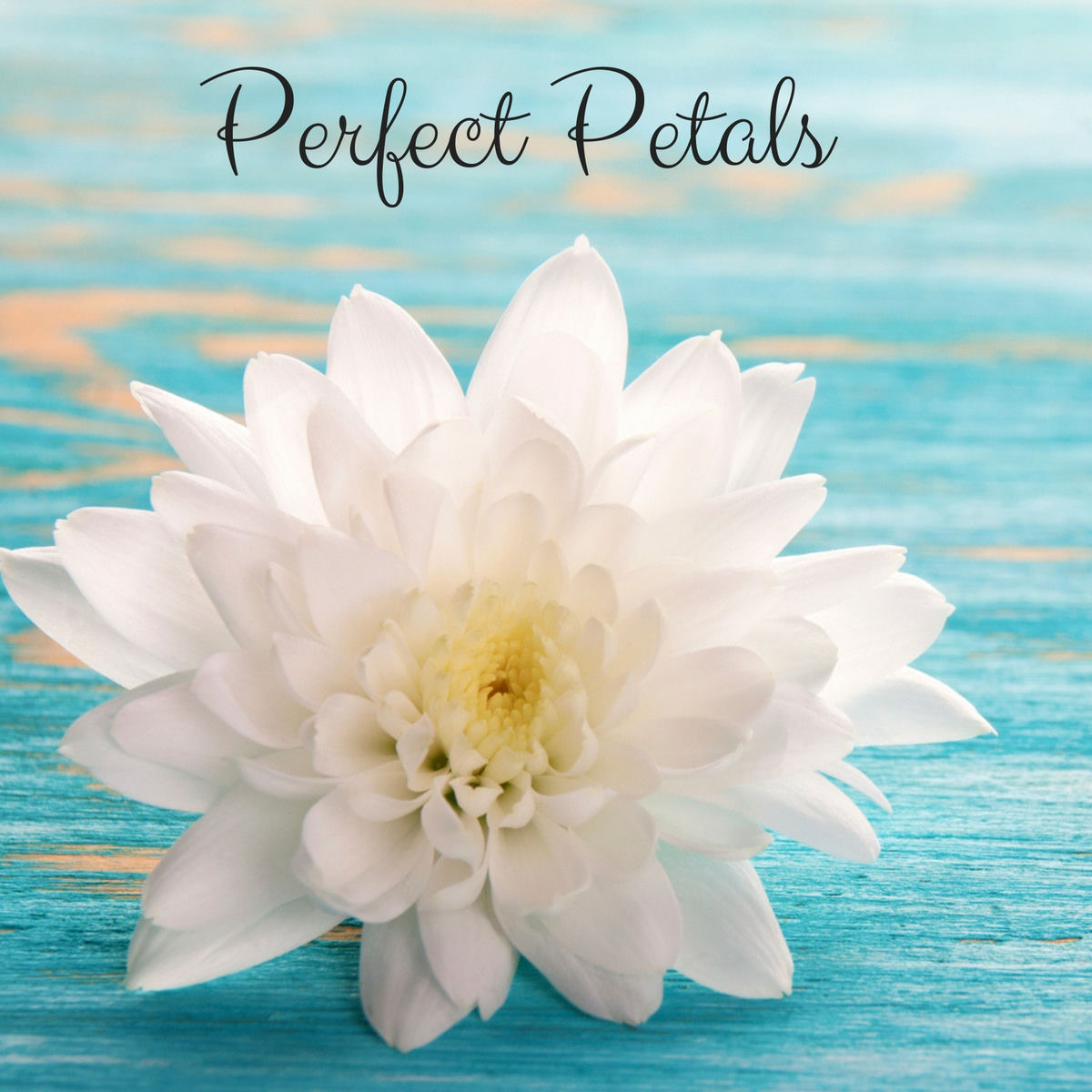 Album cover of Perfect Petals