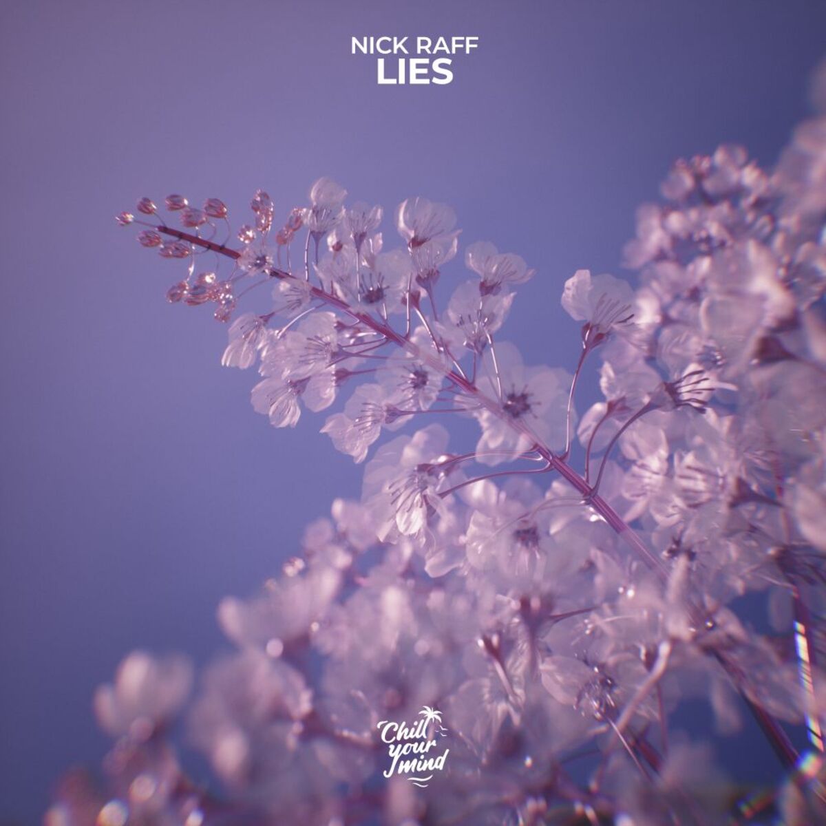 Album cover of Lies