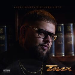 Cover of T-MAX