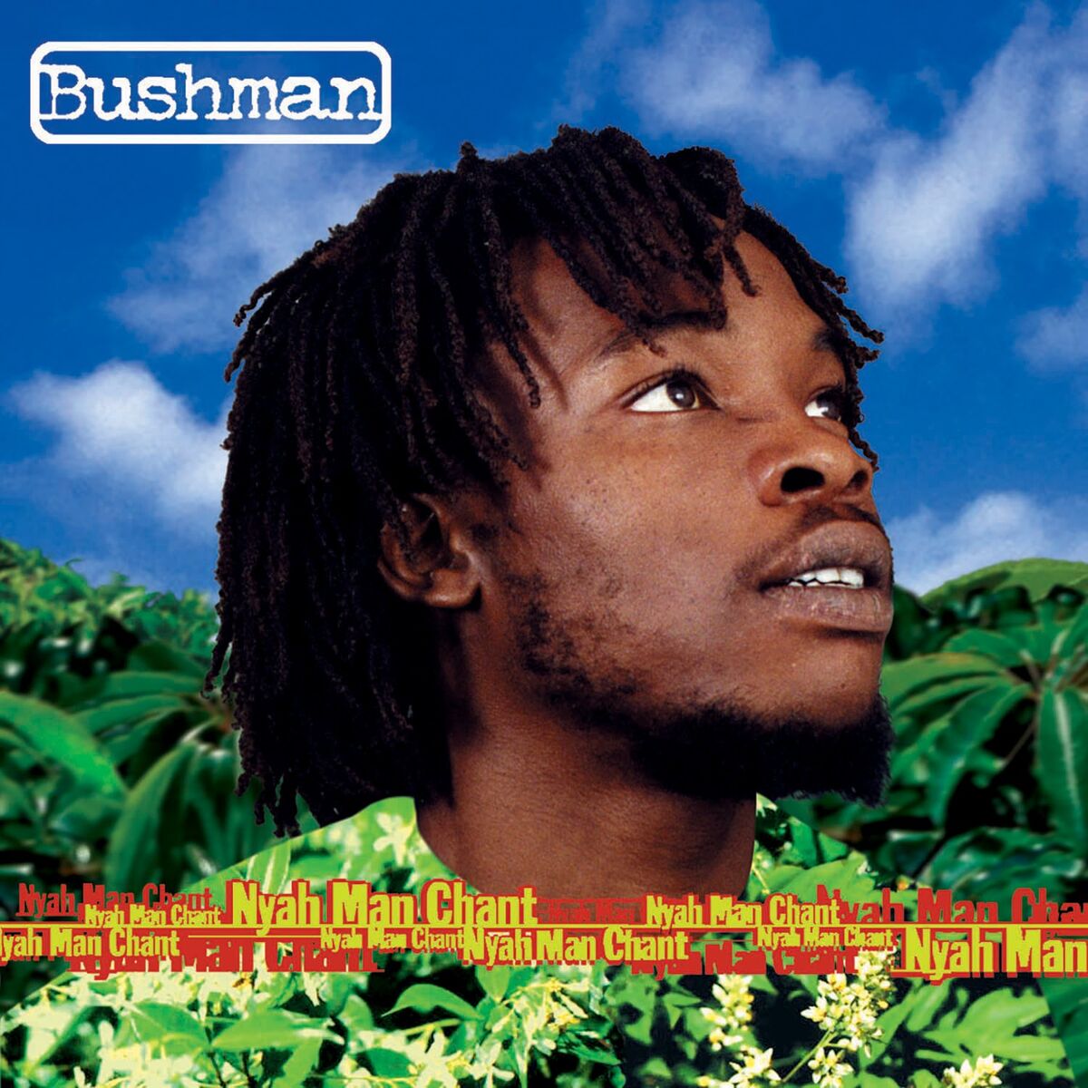 Album cover of Nyah Man Chant