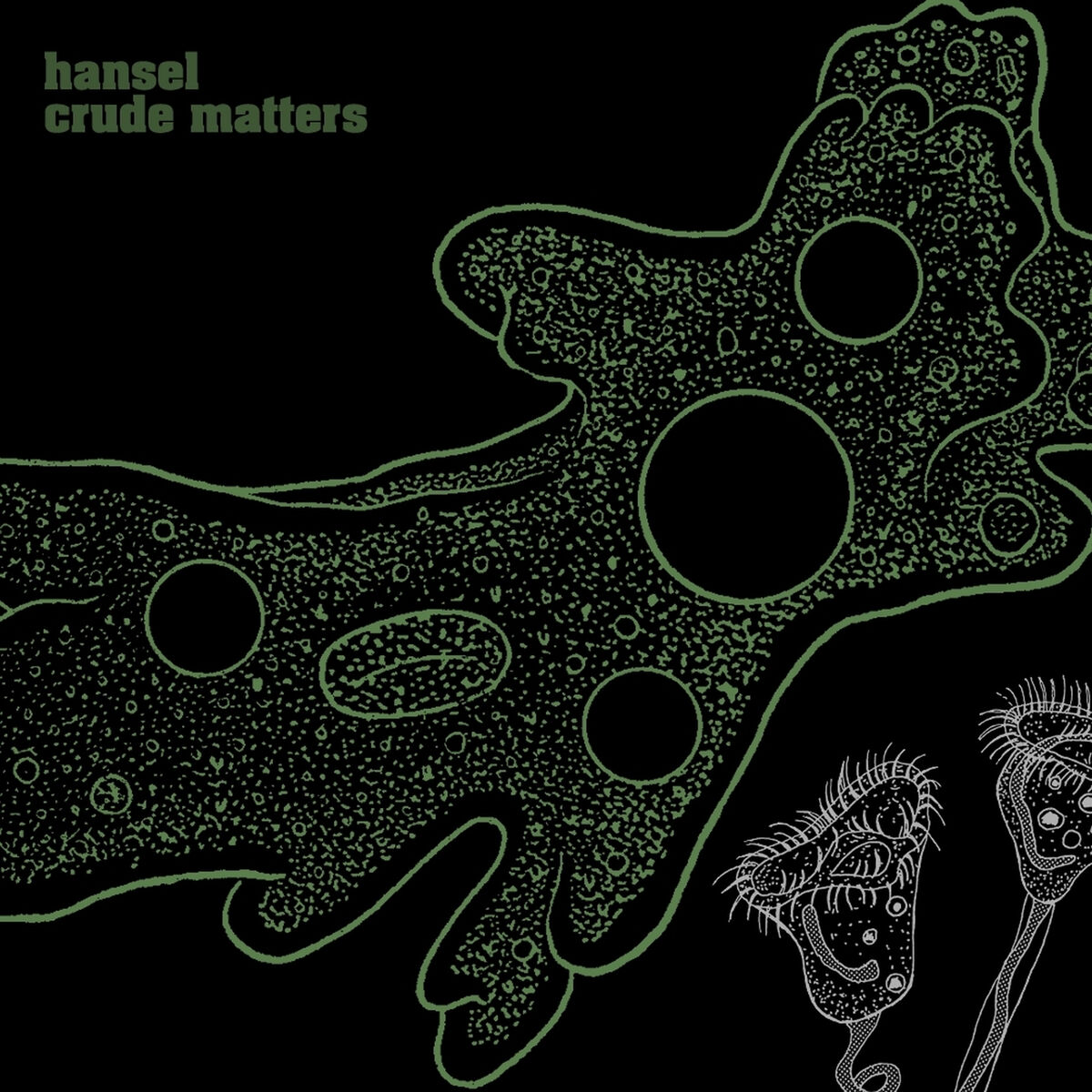 Album cover of Crude Matters