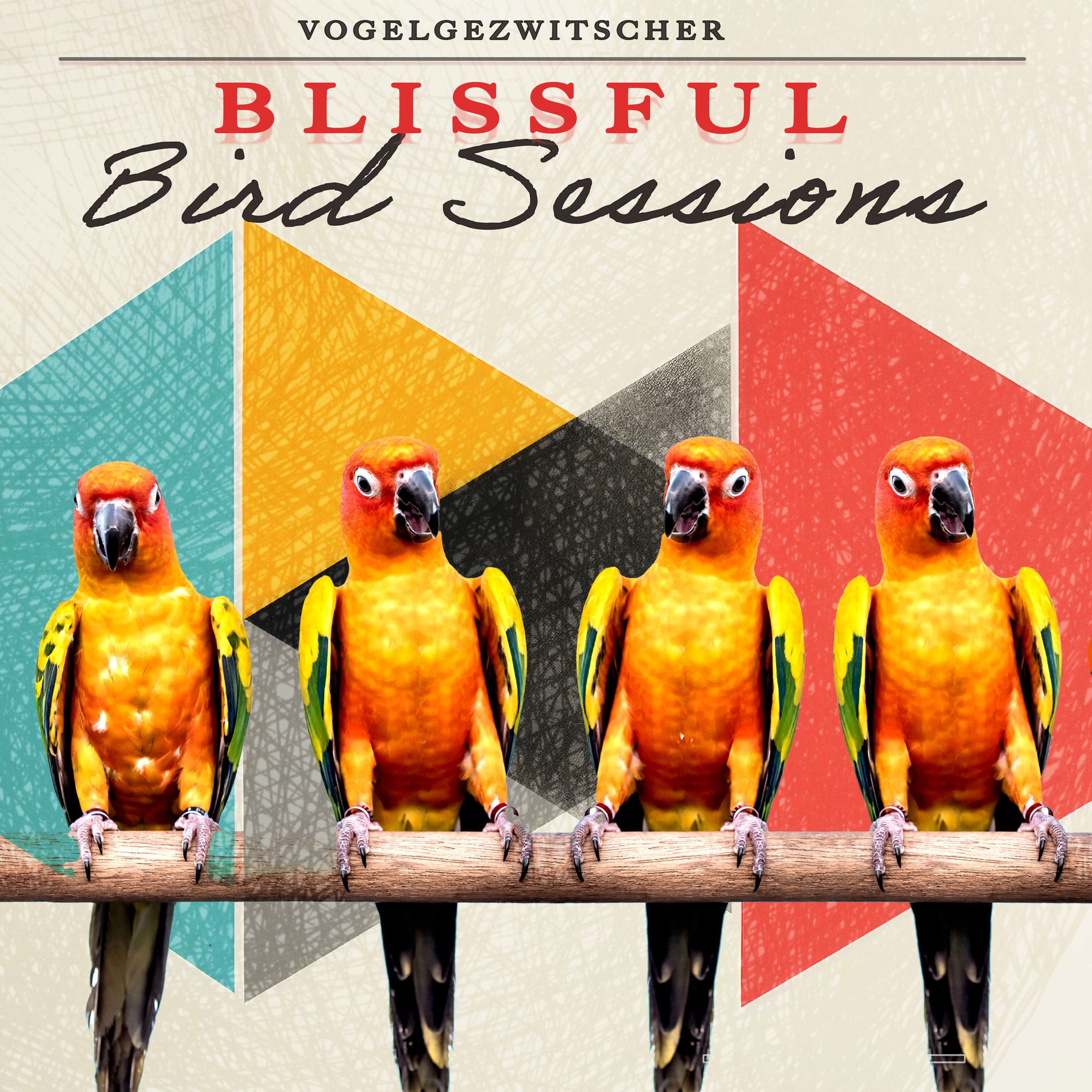 Album cover of Blissful Bird Sessions
