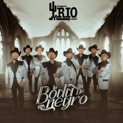 Cover of La Boda de Negro
