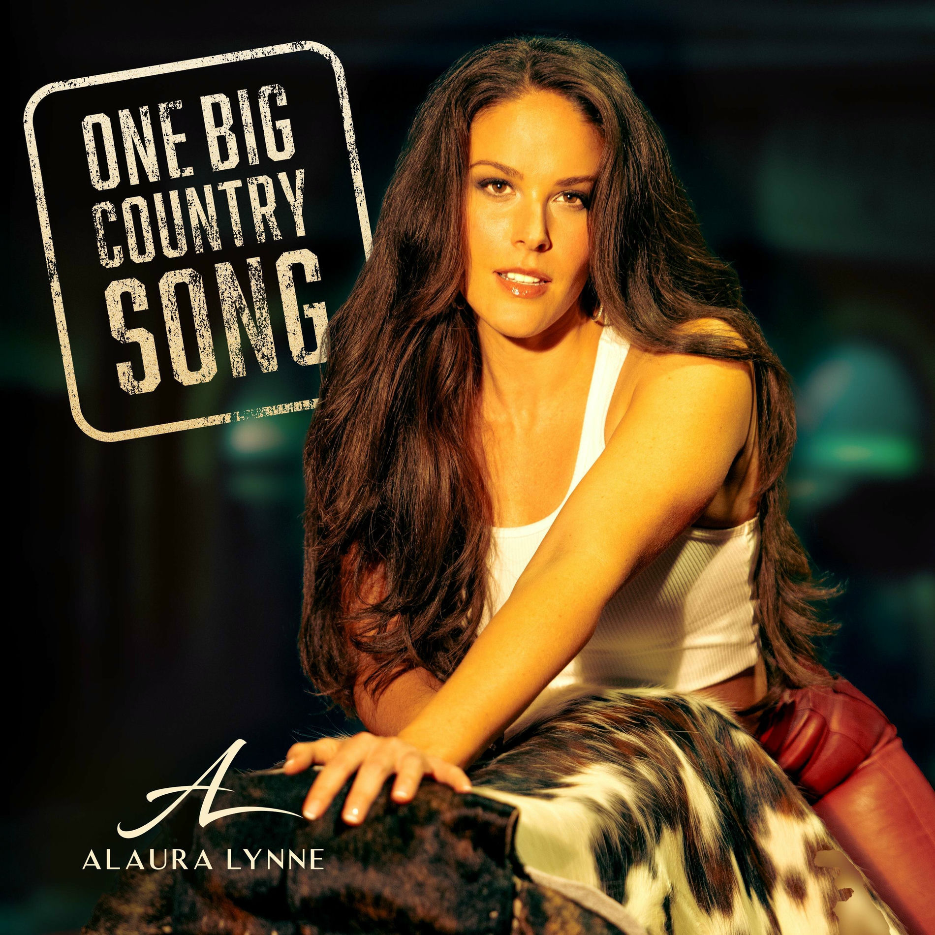 Album cover of One Big Country Song