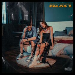 Cover of PaLos 2