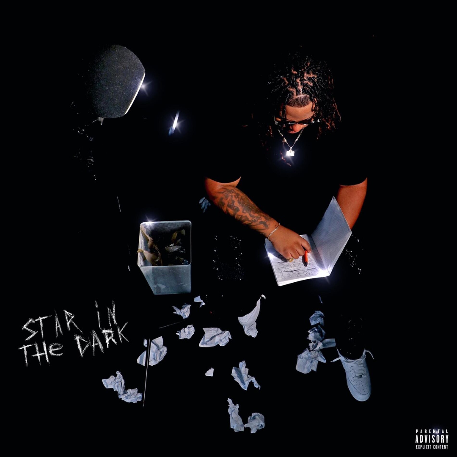 Album cover of Star In The Dark