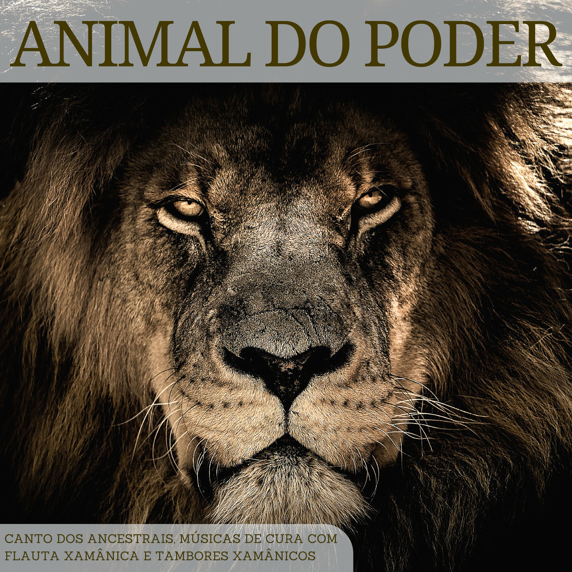 Album cover of Animal do Poder: Canto dos Ancestrais, Músicas de Cura com Flauta Xamânica e Tambores Xamânicos