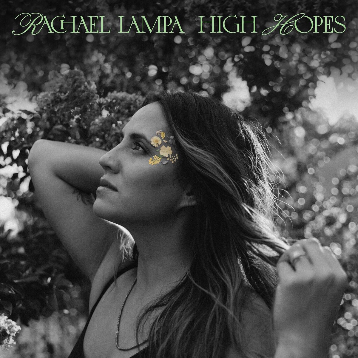 Album cover of High Hopes