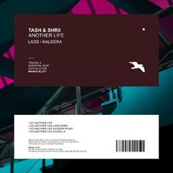 Cover of Another Life