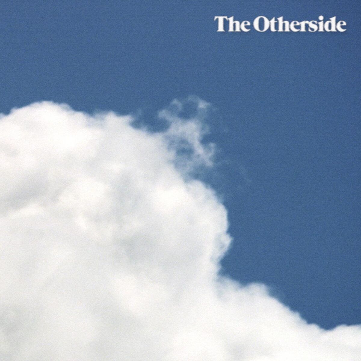 Album cover of The Otherside