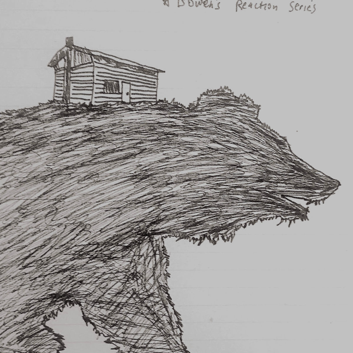 Album cover of Young Mountain (10th Anniversary Edition)