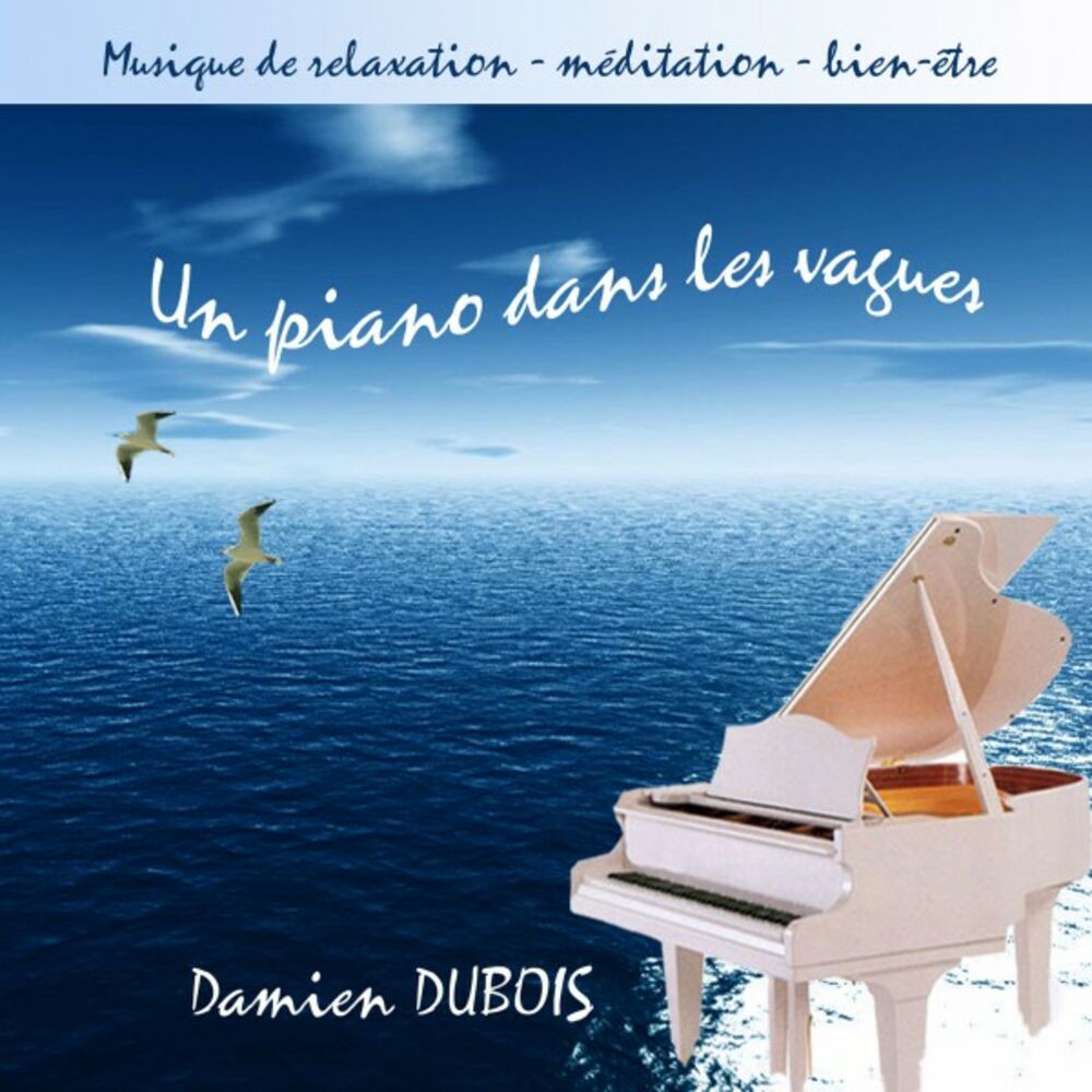 Picture of Un piano dans les vagues