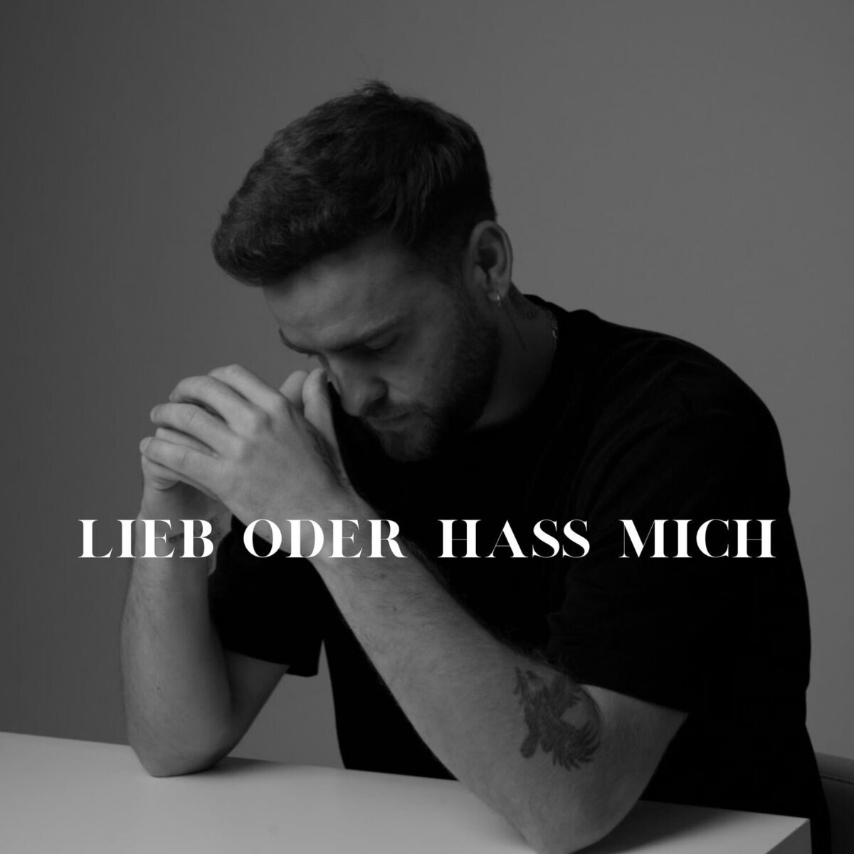 Album cover of Lieb oder hass mich