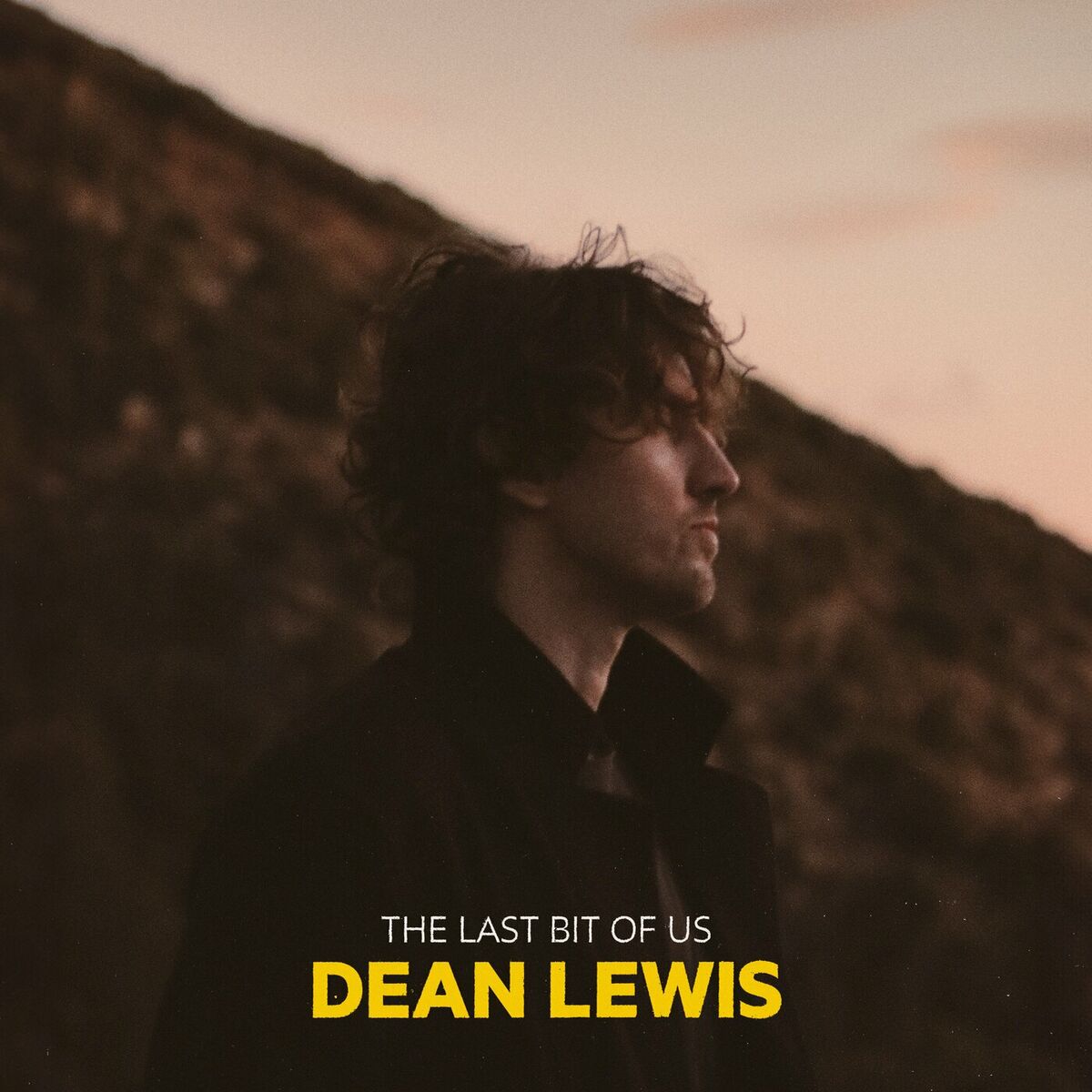 Album cover of The Last Bit Of Us