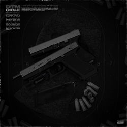 Descargar Cible - DTM13z MP3
