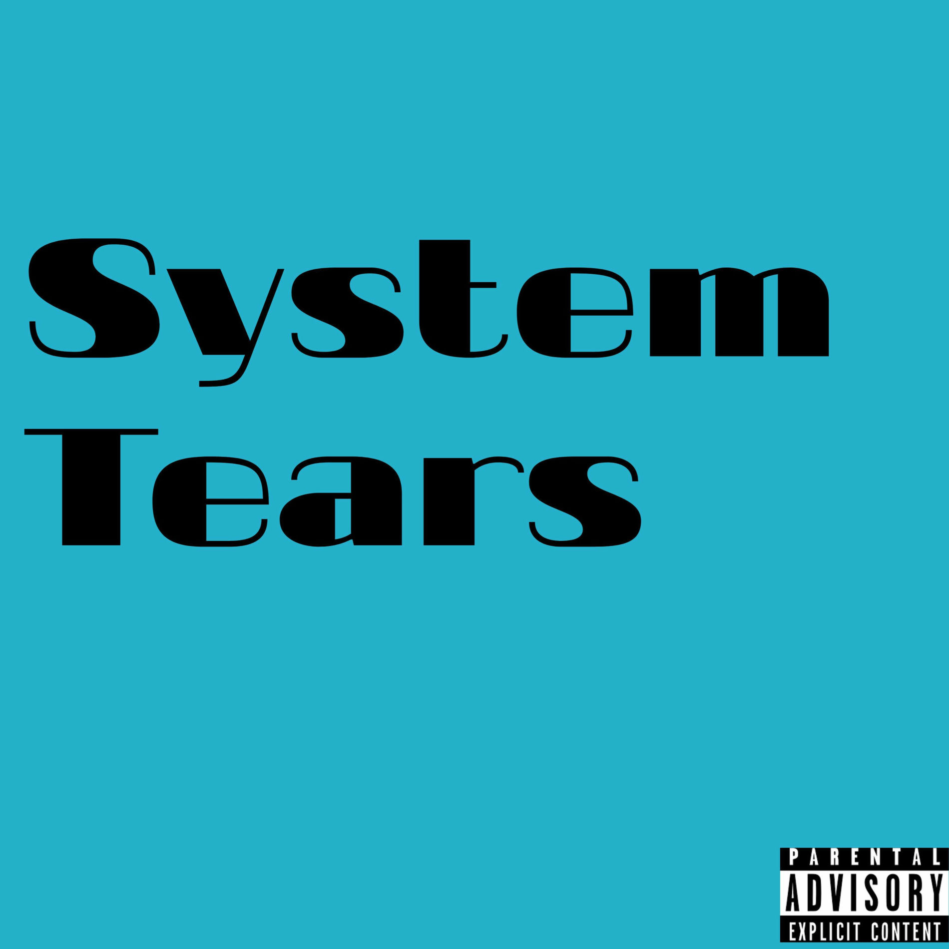 Album cover of System Tears