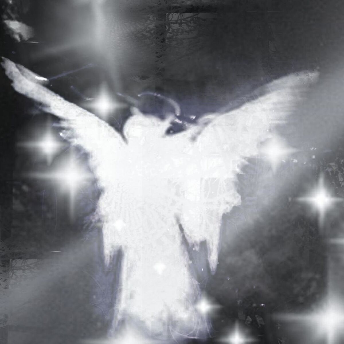 Album cover of I'm not angry anymore