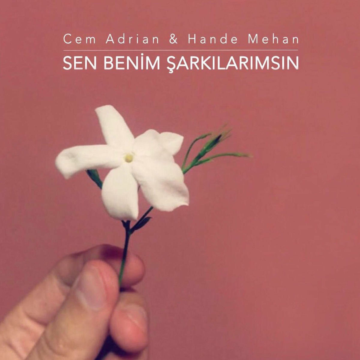Album picture of Sen Benim Şarkılarımsın