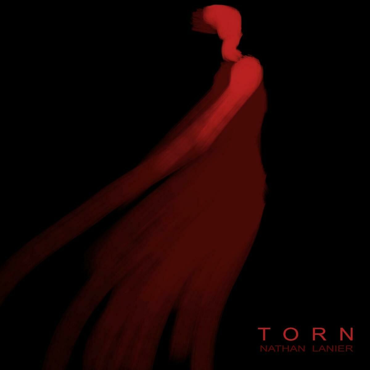 Album cover of Torn