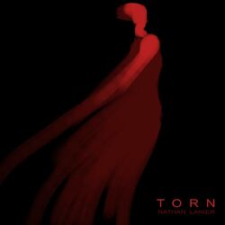 Cover of Torn