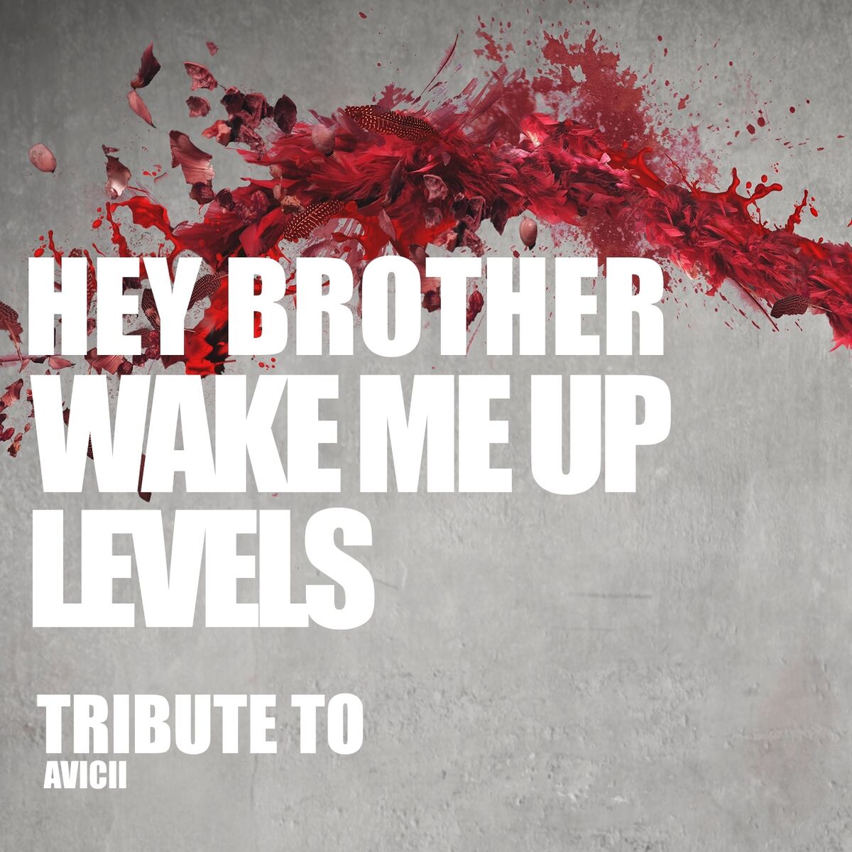 Album cover of Hey Brother