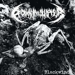 Cover of Blackwind