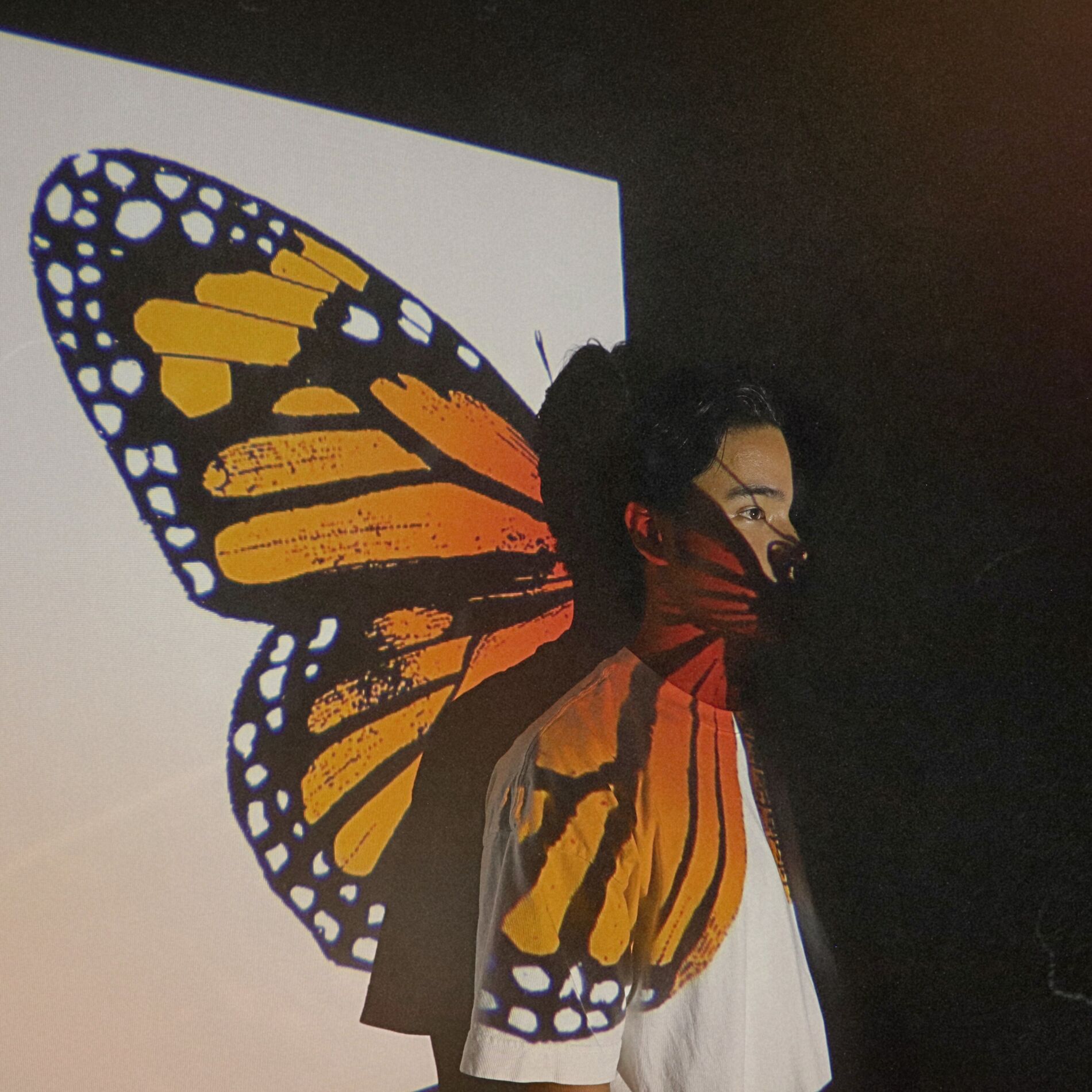 Album cover of Butterfly Effect