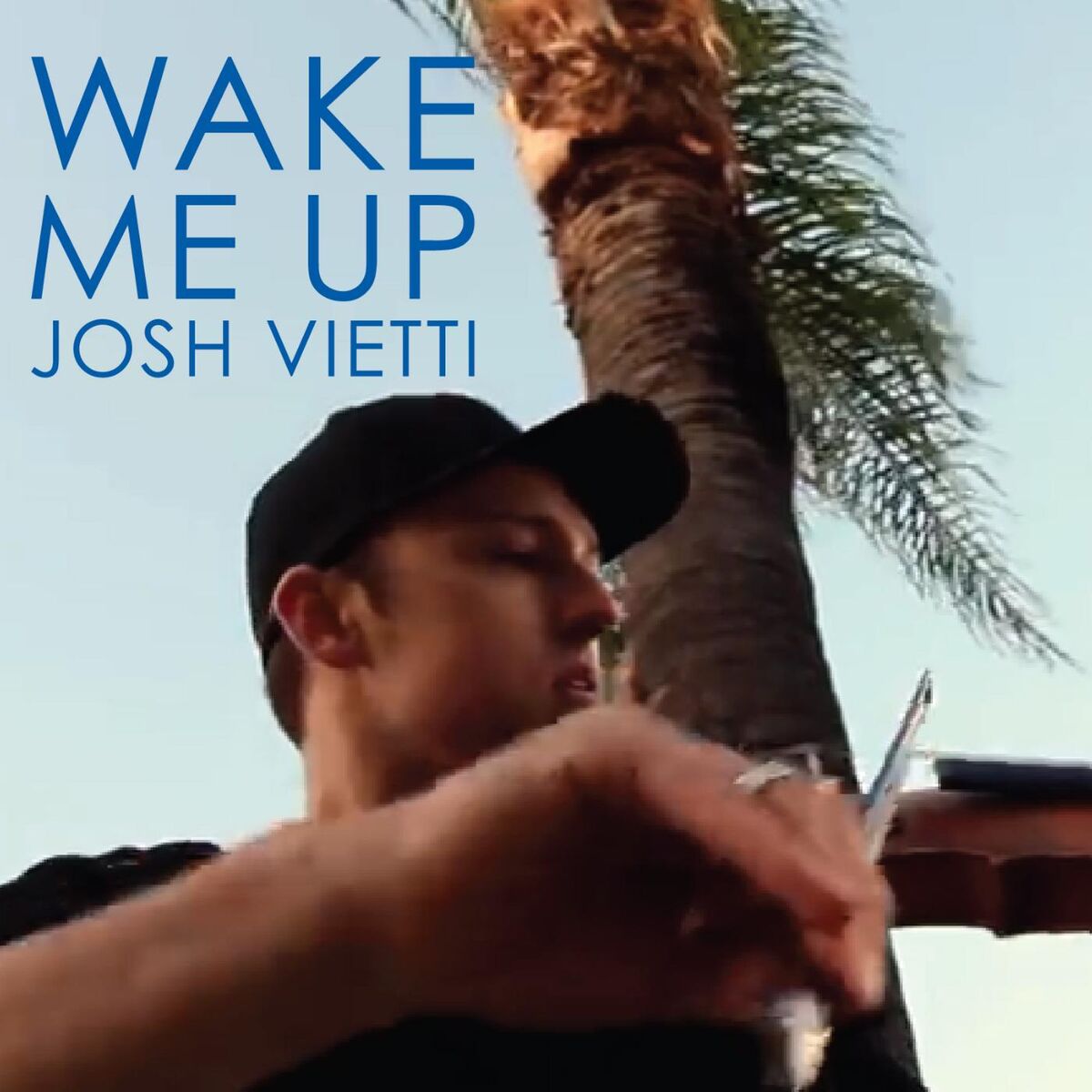 Album cover of Wake Me Up